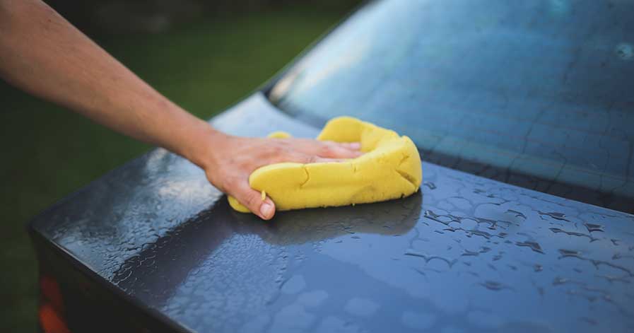 Someone using a sponge on hood of car