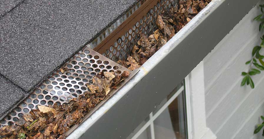 Gutter filled with leaves