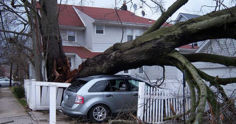 Tree fallen on car in front of house