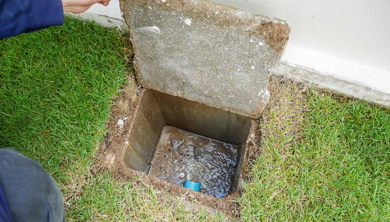 a backed up sewer drain