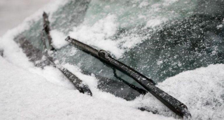 Wiper blades coated in snow.